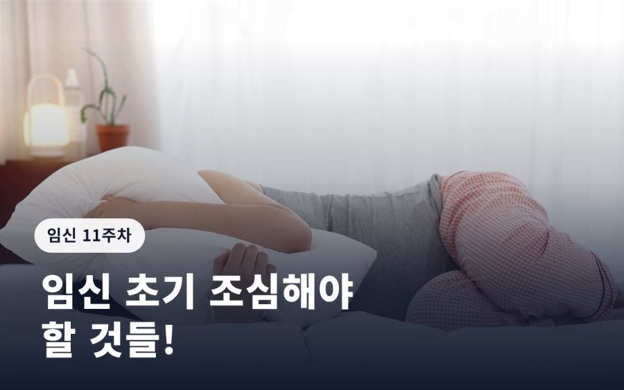 임신 11주 증상ㅣ임신 초기 조심해야 할 것들!