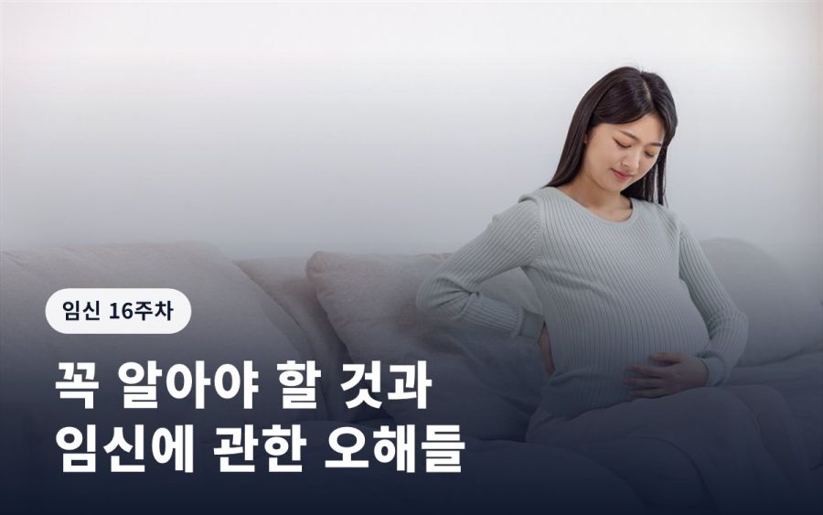 임신 16주 증상ㅣ꼭 알아야 할 것과 임신에 관한 오해들