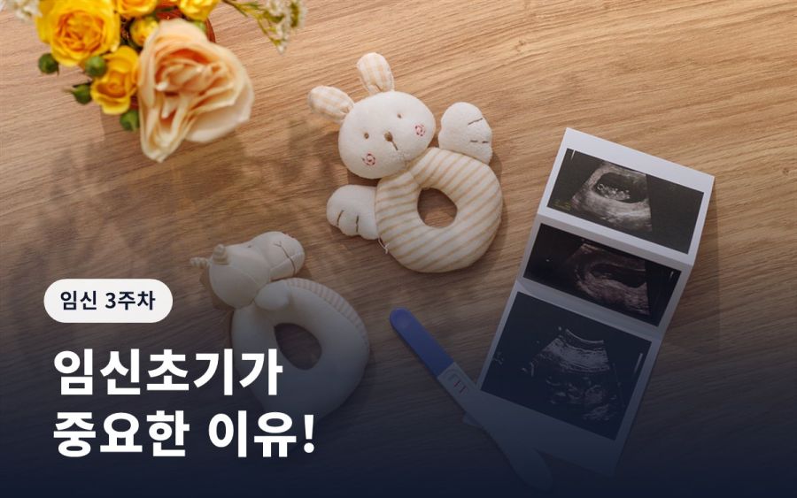 임신 3주차 증상ㅣ임신초기가 중요한 이유!