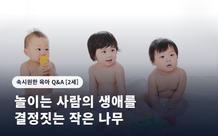 놀이는 사람의 생애를 결정짓는 작은 나무