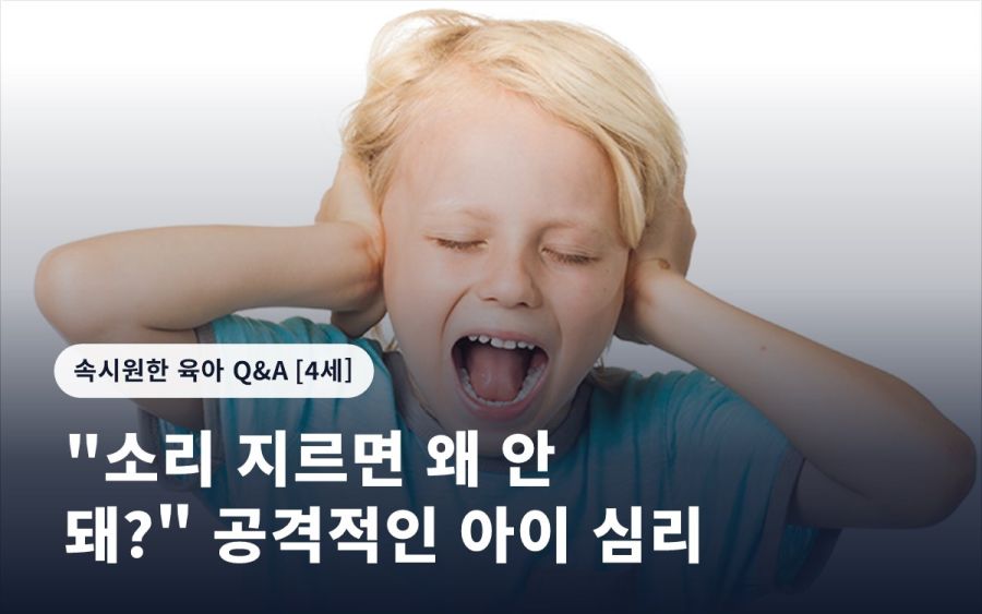 "소리 지르면 왜 안 돼?" 공격적인 아이 심리